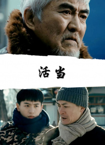 99视频久久精品久久